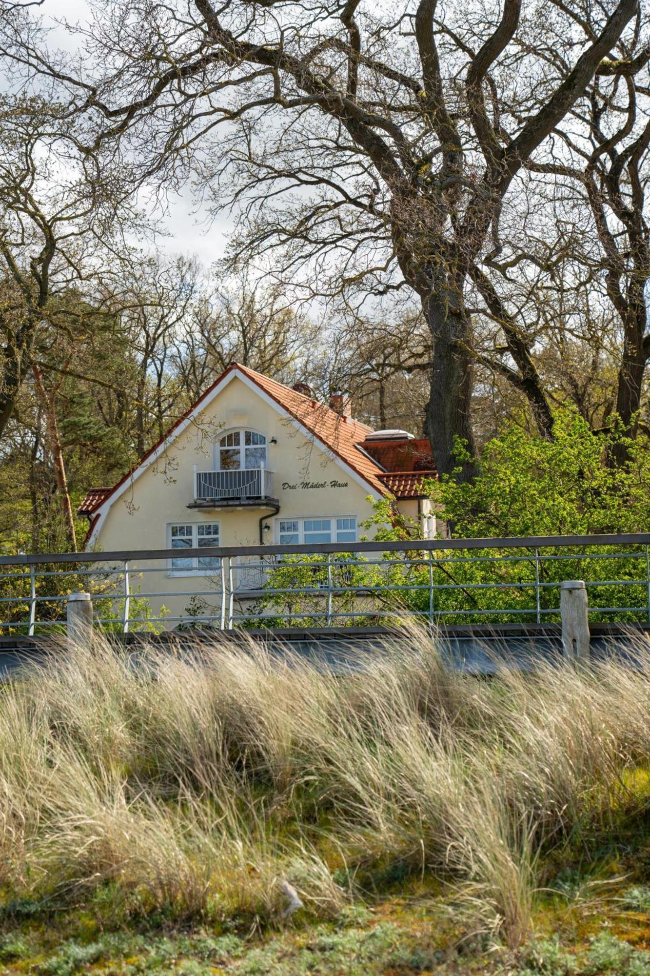 Strandvilla Drei Maederl Haus Boltenhagen  Luaran gambar